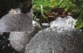 ��������� ��� �������� �� ������� Wasserdekor-BeleuchtungsSet 2 (����) ���. 186/4503