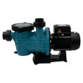 ����� � �����������  14,9�3/� Gemas STREAMER MINI �=10 0,75��� 230� (0111STRM100M)