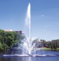 ������� ��� �������� TITAN SERIES - Buckingham ���. 601T07BUC, 601T10BUC, 601T15BUC, 601T20BUC, 601T25BUC, 601T30BUC